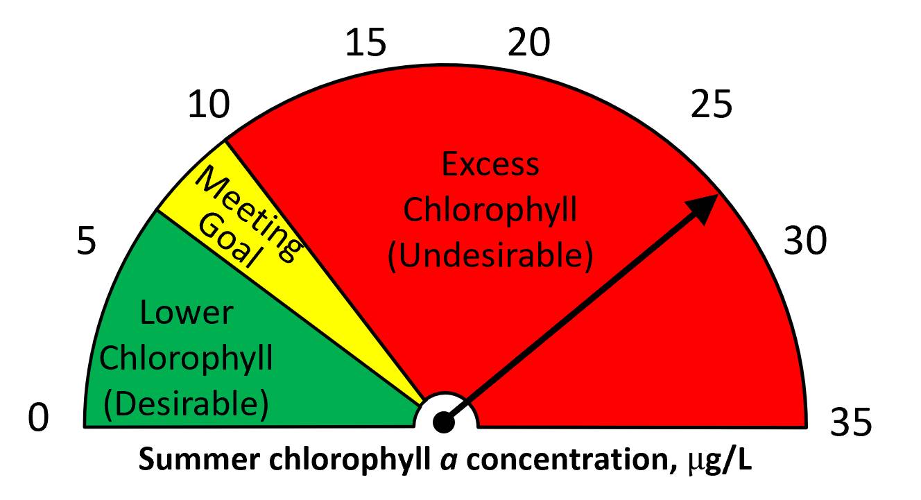 Summer 2024 chlorophyll a = 26 ug/L